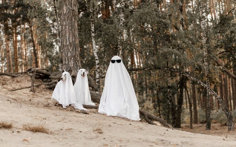 359 Ghost Names to Add to Your Creepy Collection